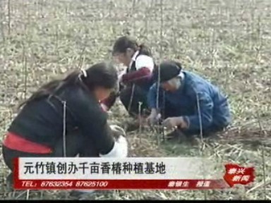 元竹镇家禽饲养机械的现状与发展路径